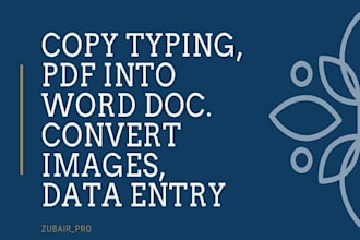do data entry, copy paste, convarting and excel data entry work for you