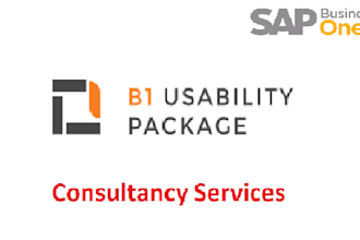 do anything in boyum IT usability package sap b1