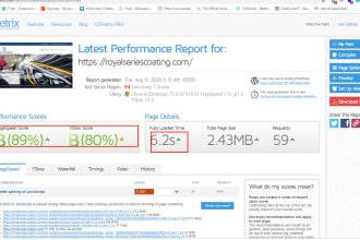 optimize your site for high speed and  conversion rate