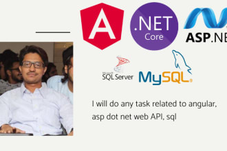do any task related to angular, asp dot net web API, sql