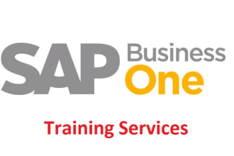 your sap business one trainer