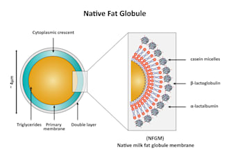 Big Deals!  do detailed scientific figures illustrations and diagrams