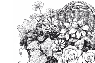 draw plants for your commercial packaging