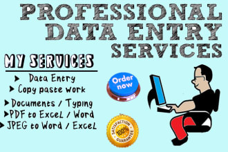 do a professional typing job,copy paste work,file conversion