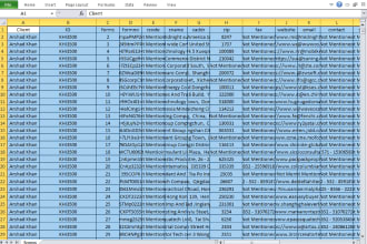be do any excel work related to any finance or data entry