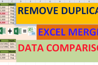do excel merge, organize, clean and remove duplicate data