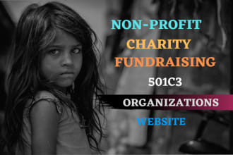 build nonprofit charity fundraising website with donation system