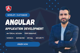develop or customize an angular application