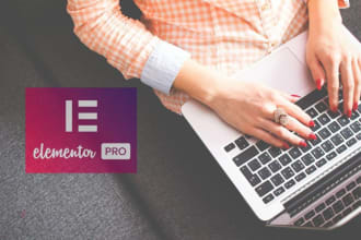 be your expert developer for wodpress, elementor, woocommerce