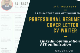 give 12 hours professional executive resume writing service