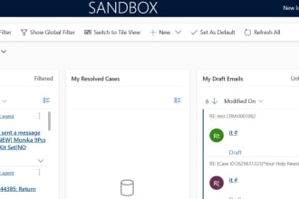 consult on microsoft dynamics 365 CRM