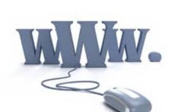 give you tips or review your website for success