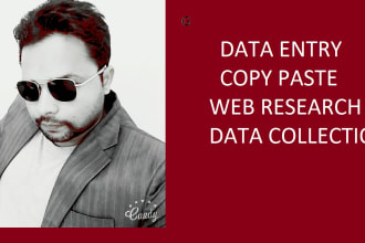 excel data entry, copy paste, data entry, typing