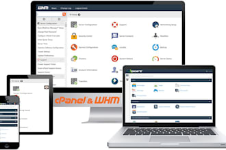 setup website on hosting