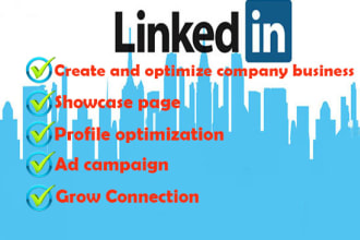 create linkedin company business page, grow connections and ads campaign