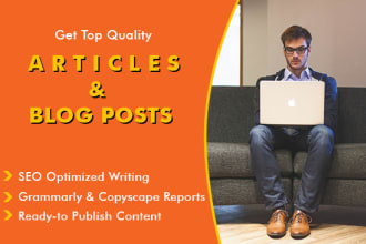 do SEO article writing of 500 words in 24 hours