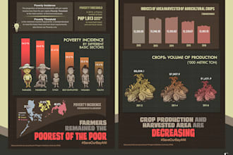 make illustrative infographic designs