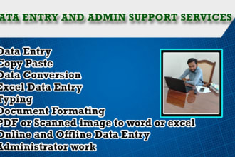 do data entry, copy paste, excel data entry, pdf to excel