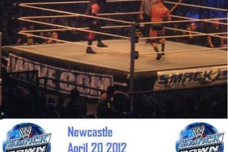 write an article about pro wrestling