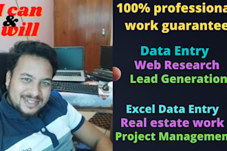 be your virtual assistant for excel data entry and web research