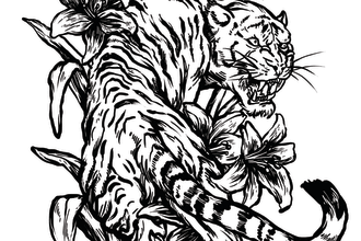 draw a detailed line art illustration from your idea
