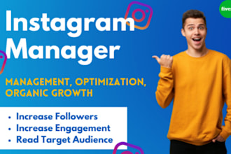 be your instagram marketing manager for organic growth