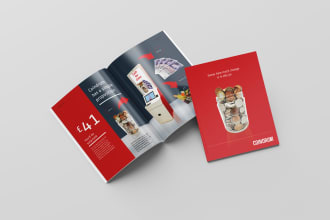 design professional brochure, booklet magazine or catalog