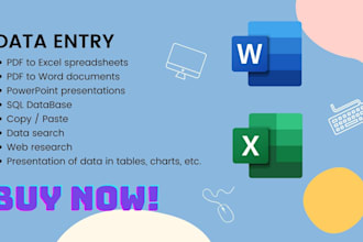 data entry word documents and excel spreadsheets
