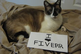 take a Picture of my Adorable Siamese Cat with Your Message