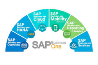 do sap related all technical and functional work