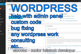 help you with a wordpress