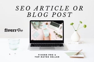 write an SEO optimised article for your blog or website