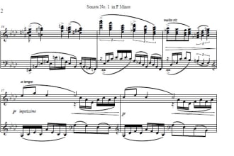 transcribe and or engrave your music for you