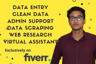 be your virtual assistant, data entry, admin support, web researcher