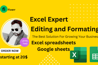 edit and format excel spreadsheets, google sheets , excel formulas, vba