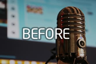 professionally clean up and level match your audio