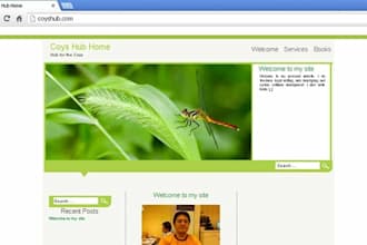 develop your web application