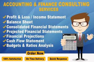 prepare financial statements, profit and loss, balance sheet and projections