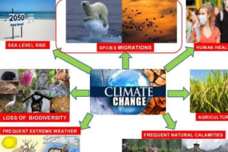do research on climate change related issues