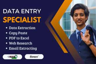 do accurate data entry, copy paste, web scraping, pdf to excel