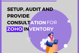 setup, audit and provide consultation for zoho inventory