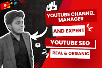 do youtube video SEO expert for video ranking, organic views
