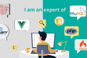 fix, and develop laravel, vue, PHP, wordpress, joomla, drupal website