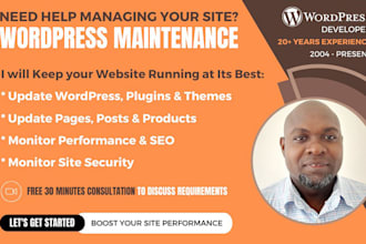 maintain and keep your wordpress website updated