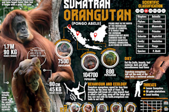 design a unique and eye catching feature magazine info graphic