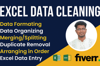 be your virtual assistant for excel data entry, copy paste, excel formula