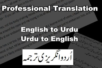 do english to urdu and urdu to english expert translation