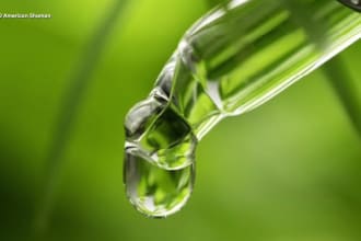 promote your cbd, cannabis, hemp, vape product, ensure real cbd website traffic