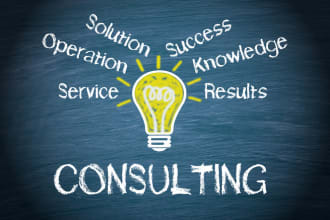 do consultation for your web project, zoom or skype