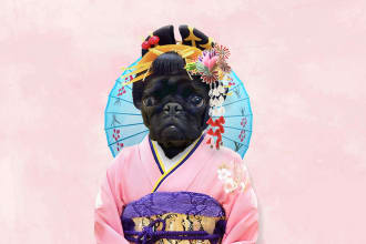 dress your pet up in various clothings and accessories